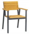 Wolf Robinia Outdoor Arm Chair